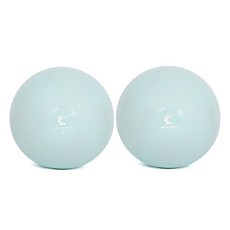 아이워너 아이워너 소프트 토닝볼 미끄러짐을 줄인 콤팩트한 사이즈 부드럽고 유연한 외피 소재, 1세트, 1kg, 소프트민트