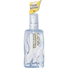 GATSBY 갸스비 샤워 프레쉬 오션 시트러스 60ml, 1개