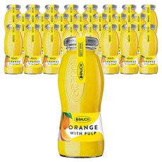 라우치 오렌지 주스, 200ml, 24개