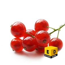 선인 냉동 레드커런트송이 125g 줄기 레드커런트 (드라이아이스포함), 1개