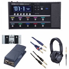 보스/GT-1000 FS-6 + EV-30