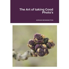 (영문도서) The Art of taking Good Photo's Paperback, Lulu.com, English, 9781291273892