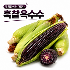 [행복한농산물]산지직송 2026 첫수확 국산 쫀득쫀득 흑찰옥수수, 10개, 1박스(중상 9cm~)