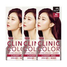 꽃을든남자 크리닉 칼라 염색약, 3세트, 체리레드