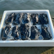 고흥 물김 개별진공포장 산지직송, 250g, 10개