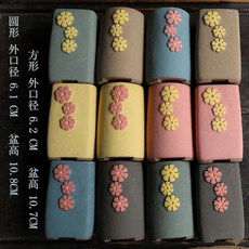 화분 사무실 미니 다육이 소형 분재, 자사분 랜덤 2개 [] 묵은말뚝 자사분 2개, 작다