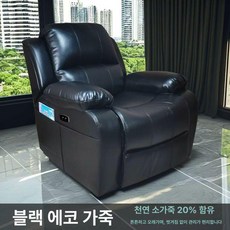 전동 의자 거실 독서 1인용 안락 리클라이너 소파 가죽, 전동 170도 USB 270도 없음, 블랙 친환경 에코 레더