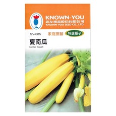 KNOWN-YOU 夏南瓜種子，家庭園藝特選，輕鬆種植，享受田園樂趣，新鮮健康無農藥, 1個