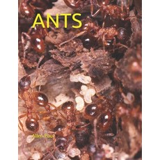 (영문도서) Ants Paperback, Independently Published, English, 9798453276271