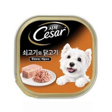 시저 주식캔 100g 1개 쇠고기와 닭고기01a2+7hyU