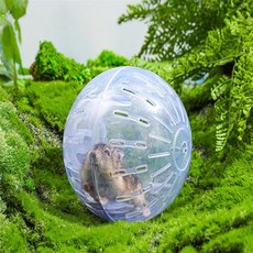 스토리 햄스터 챗바퀴 운동볼 장난감 챗바퀴볼 놀이공