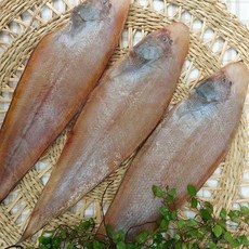 국내산 반건조 참서대 3미 23-27cm 내외 박대, 1개