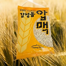 낚시여행 감성돔 압맥 집어제 바다낚시 압맥 280g 1개