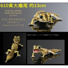 파충류모형 레오파드도마뱀 게코 피규어 생물 진짜같은 렙티 장난감 장식품, B, 1개