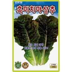 산들마켓 흑미치마 상추 씨앗 3000립 검은 빛이 강한 맛좋은 내서성 강한 고급 품종 종자, 1개