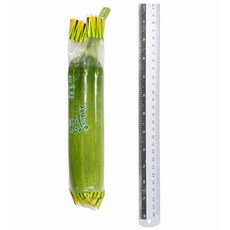 애호박 특 약 17-20cm 업소용 가정용, 1개, 특(약17-20cm)