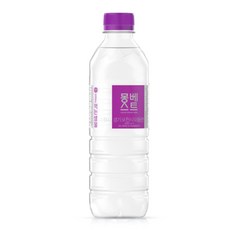 몽베스트 생수 (유라벨 무라벨 랜덤발송) 500ml 20병 4박스 (80개), 80개