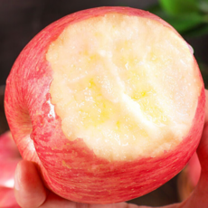 [딱5일초특가] 하루100박스 꿀맛부사 명품당도 꿀사과, 1박스, 2kg