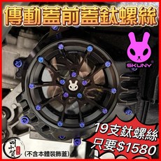 叫小賀 SKUNY 傳動進氣蓋螺絲 鈦合金螺絲 組合價, 1個, 壓克力板螺絲15隻+外蓋4隻,紫色