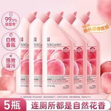 SükGarden 陽光松木潔廁劑 馬桶清潔 強力去污 500g, 1個