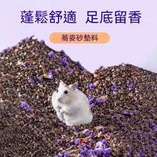倉鼠蕎麥砂 倉鼠墊料 倉鼠底材 除臭透氣 無塵, 1個, 倉鼠蕎麥砂（450g）