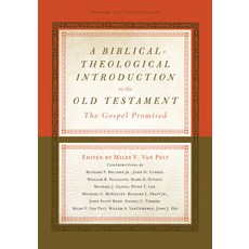 (영문도서)A Biblical-Theological Introduction to the Old Testament: The Gospel Promised Hardcover, Crossway, English, 9781433533464