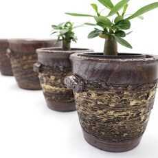 다육이 깊은화분 항아리형 실내화분 고급 옹기 토기 분갈이분 인테리어 동이, 1개