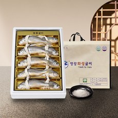영광화성굴비 법성포 영광굴비 국내산 참굴비 선물세트 10미 1.0kg 이상 수협경매 산지 직송, 1세트, 1호 1.0kg 내외 또는 20cm 내외, 고급지함 포장