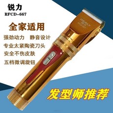 銳力 RFCD-667 電推剪 動力強勁 陶瓷刀頭 全家適用 發型師推薦, 1個, 667標配【顏色隨機】