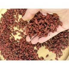 B급 구기자 100g 구기자차, 1개