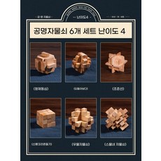 두뇌 개발 퍼즐 잠금 장난감 조립형 전통 구조 블록 IQ 놀이 선물용, [저렴한 6종 세트] 난이도 4, 전체 도해/영상/3D
