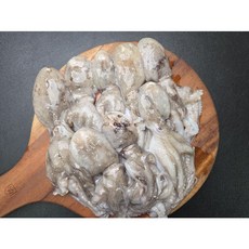 살아있을때 활급냉 봄 주꾸미 2kg(16~30미 내외) 알배기 쭈꾸미, 2개, 1kg