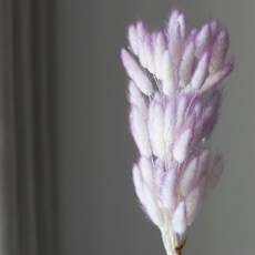 現貨 漸層夢幻色 兔尾草 乾燥花素材 不凋花 永生花 花圈 花束 擴香石 玻璃罩 花材 乾燥花, 夢幻紫（一支）