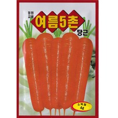 영농사 [여름 5촌 당근 씨앗 4g] 당근씨, 4개