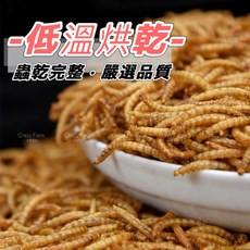 水族狂粉 爬寵乾 刺蝟倉鼠蜜袋鼯食用點心零食, 1個, 麵包蟲-100克, 100g