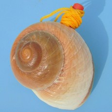 나각 소라 피리호루라기 13cm 9cm 국악기, 빵 9cm, 1개, 기본 모델명/품번