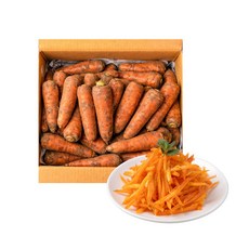 당일발송 제주도 햇 구좌당근, 1개, 중품 3kg