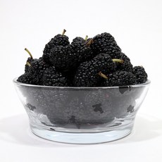 [팔톤상회] 은은하게 달달한 디저트용 토종 오디 (급냉 대용량) 5kg, 1개