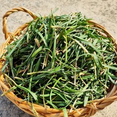 [오늘의채소] 국내산 노지 초벌부추 300g, 없음