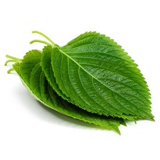 [1인분만] 국내산 향이 진한 싱싱한 깻잎, 150g, 1개