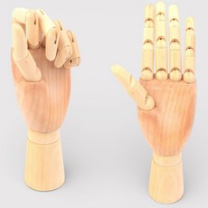 래빗초이 관절 손모형 미대생드로잉손모형