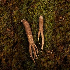 자연삼가 정품 에디션VIP 강원도 산양삼 3뿌리+산더덕 200g, 1세트