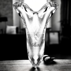 ReFa 리파 바디 카사 괄사 CAXA 바디 마사지기 (일본), 1병