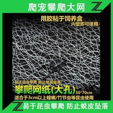 螳螂飼養盒 爬蟲寵箱 非洲幽靈螳螂 魔花螳螂 寵物飼養箱, 1個