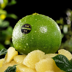 세콰이어 메로골드자몽 7.5kg내외 (청자몽 점보/왕점보/멜로골드), 1개, 개별 300g~500g 7.5kg내외