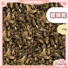花花萌寵王國 蟋蟀乾 乾燥蟲乾 寵物點心 適用於刺蝟/倉鼠/蜜袋鼯/爬蟲類/鳥類/觀賞魚/兩棲爬蟲, 1個, 蟋蟀乾｜25g