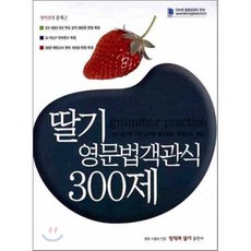 딸기 영문법 객관식 300제 : 9·7급 공무원 일반경찰·경찰간부 편입, 정직과딸기출판사