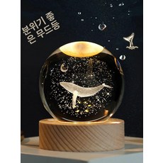돌고래 스노우볼 모양 바다 조명 램프 고래 달 워터볼 A. 6cm 우산 든 어린 왕자, AD. 8cm 신형 민들레