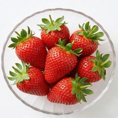 osshop 가짜 과일 딸기 모형 데코 용품