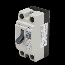 진흥 JSB-3022L 30A 1.5kA 2P 산업용 배선차단기 배선용차단기 분전함, 1개